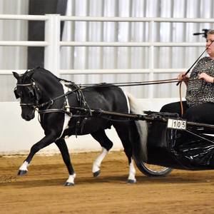 Meet your Posher, Sherry